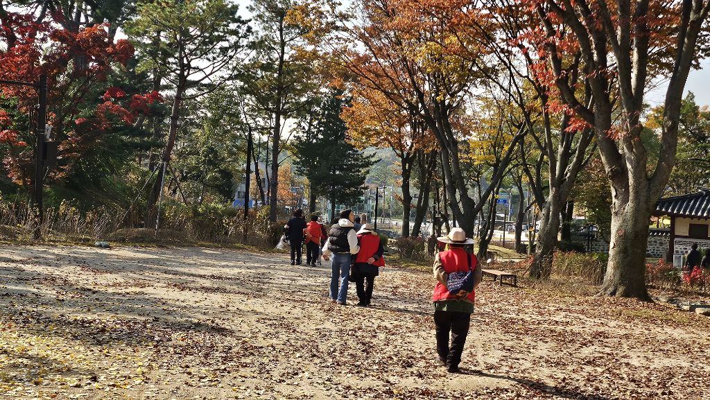 /user/t/thejoeuncare/editor/2512/a9c398386a3f4f4e2790d0405dac7c67_1766838695_1431.jpg 이미지크게보기