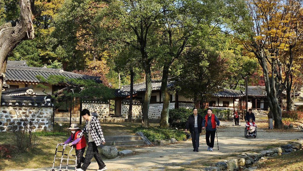 /user/t/thejoeuncare/editor/2512/a9c398386a3f4f4e2790d0405dac7c67_1766838695_3374.jpg 이미지크게보기